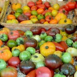 Etal de tomates, cours Saleya, Vieux-Nice